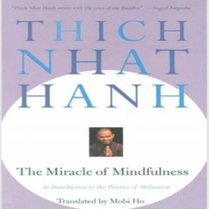 The Miracle of Mindfulness (7Summits) The Miracle of Mindfulness (7Summits)